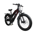 color customized ebike 11.6Ah dual lithium battery aluminum alloy frame fat bike